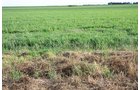 Property photo 43 - LAND AUCTION, 3255+/- Acres offered in 13 Tracts